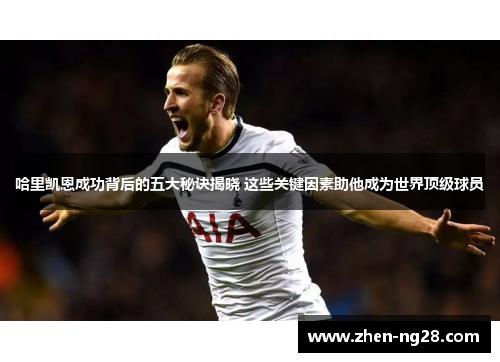 哈里凯恩成功背后的五大秘诀揭晓 这些关键因素助他成为世界顶级球员 哈里凯恩成功背后的五大秘诀揭晓 这些关键因素助他成为世界顶级球员
