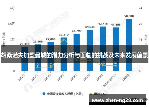 胡桑诺夫加盟曼城的潜力分析与面临的挑战及未来发展前景